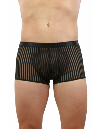 20342 Opaque striped tulle Boxer